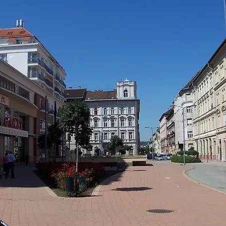 Lägenhet Sinko - Free Garage Parking, Central, 2 Bedrooms 4 Single Beds, Flexi Check-out